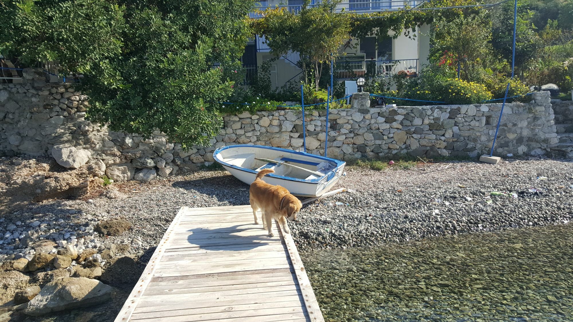 Mavi Akvaryum Otel Селимие Екстериор снимка